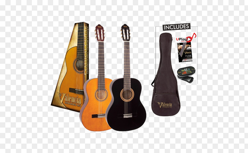 Ancient Musical Instruments Bass Guitar Acoustic Tiple Ukulele Acoustic-electric PNG