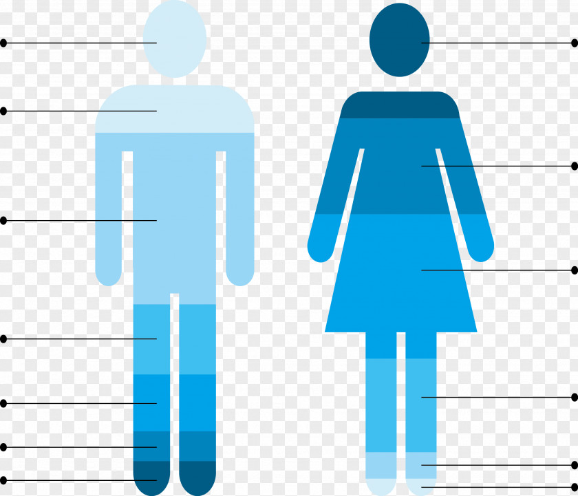Business Vector Material Public Toilet Female Bathroom PNG