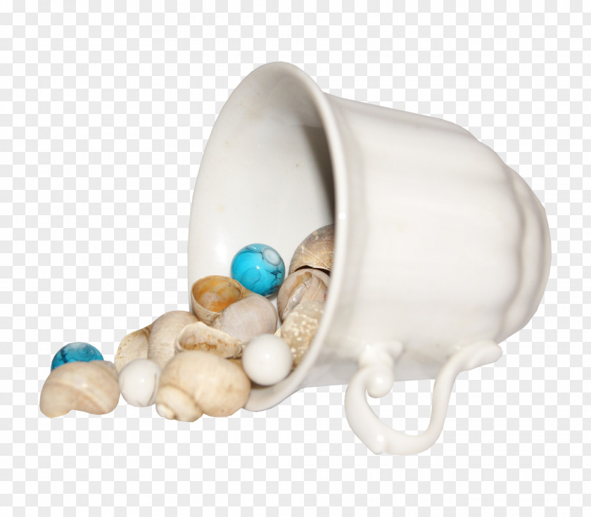 Conch Oyster Pearl PNG
