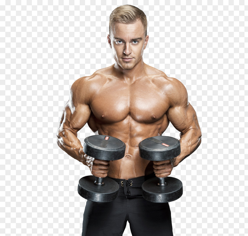 Muscle Dumbbell Physical Exercise Bodybuilding Barbell PNG