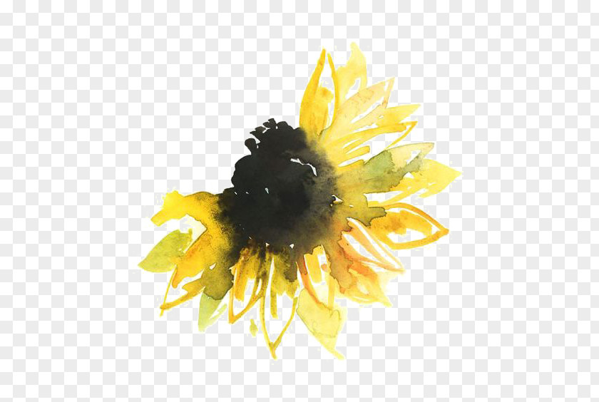 Sunflower Watercolor Painting Tattoo Paper PNG