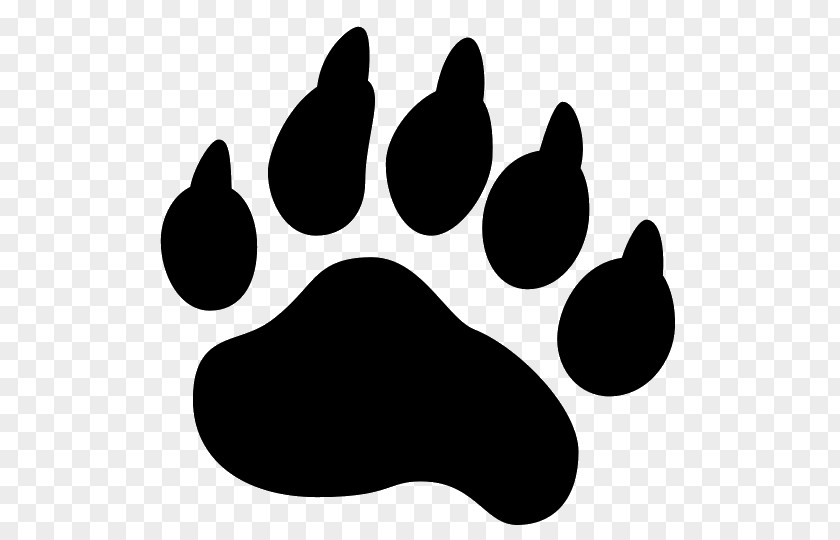 Bear American Black Paw PNG