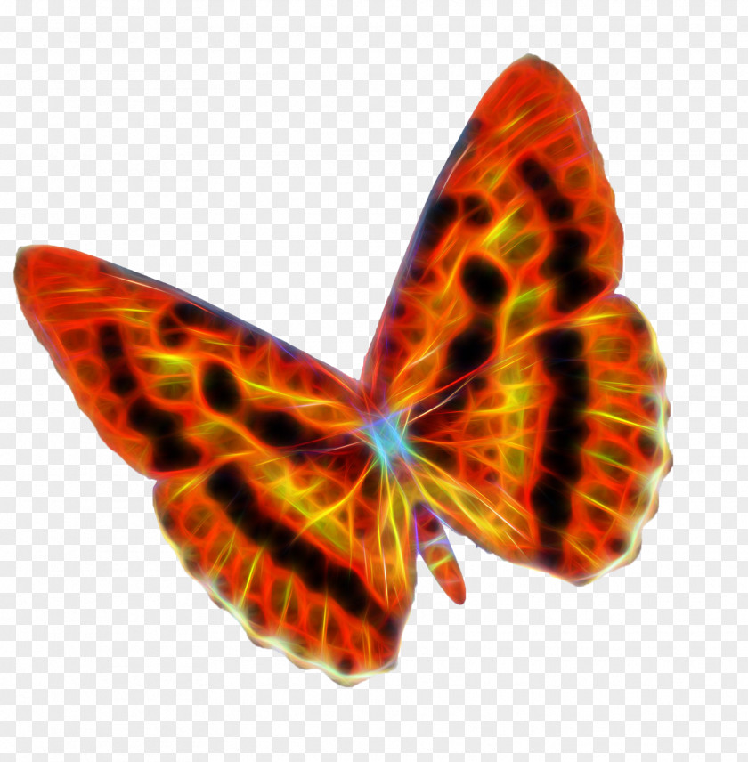 Butterfly Flame Moth PNG