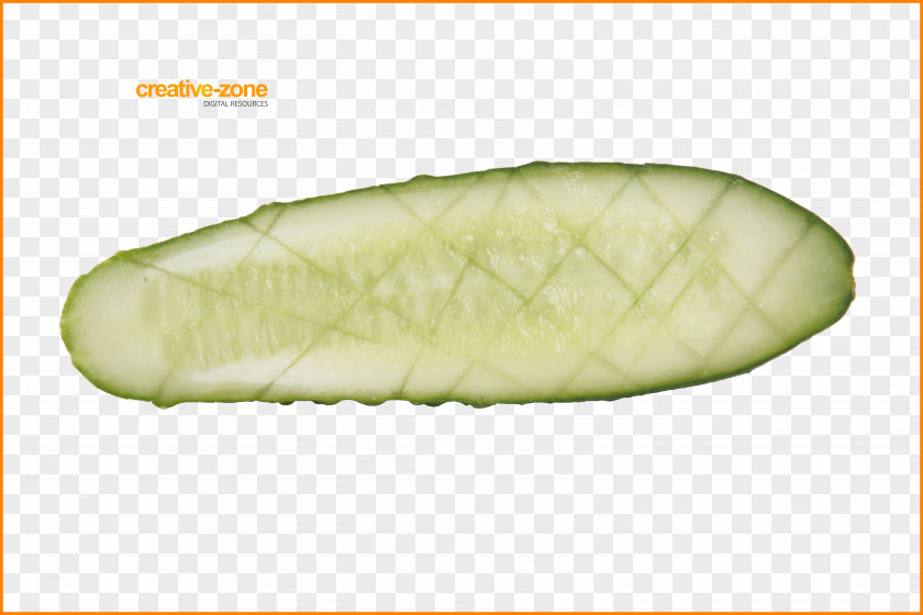 Cucumber Vegetable Waltham Zucchini Melon PNG