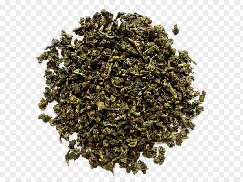 Green Tea Tieguanyin Pouchong Oolong Nilgiri Gunpowder PNG