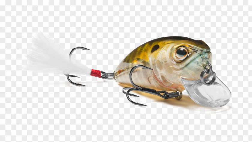 Insect Spoon Lure Fish AC Power Plugs And Sockets PNG