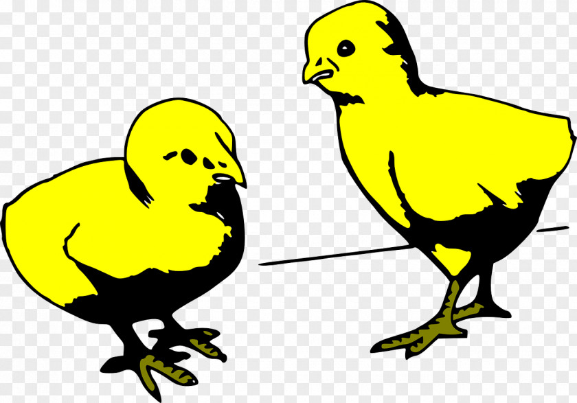 Yellow Chick Chicken Black And White Clip Art PNG