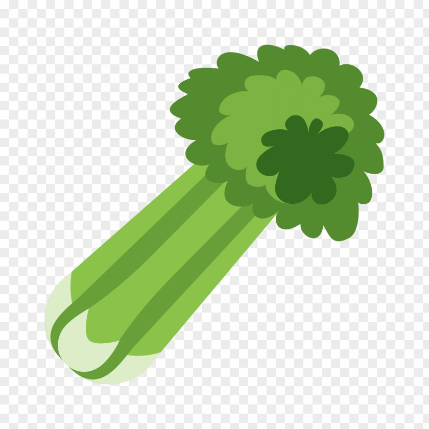 Broccoli Celery Download Food PNG