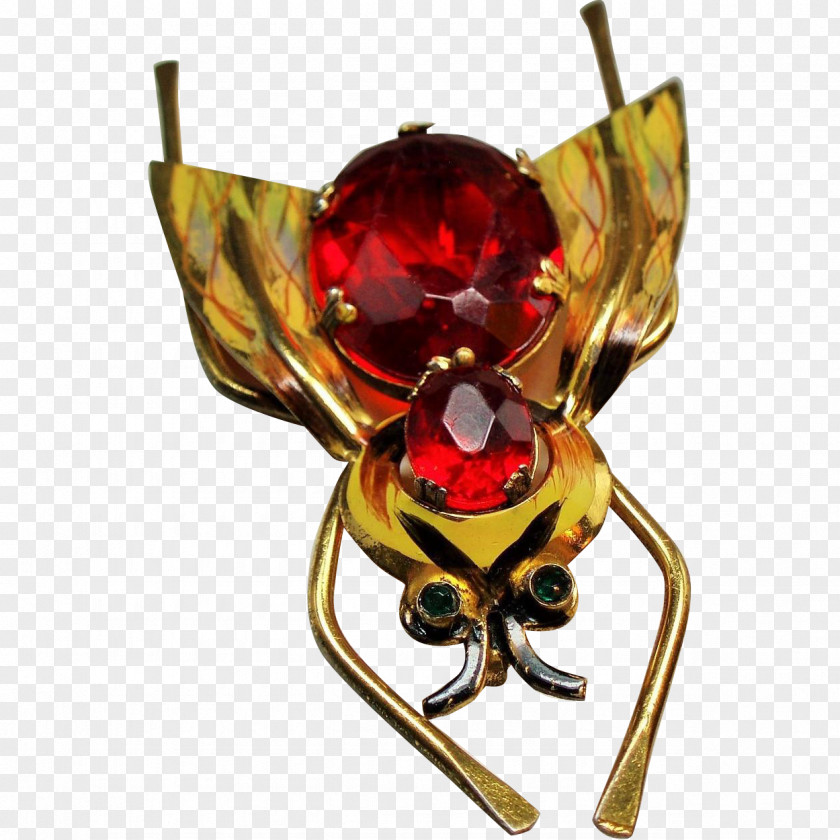 Brooch Insect Bee Pollinator Invertebrate Arthropod PNG