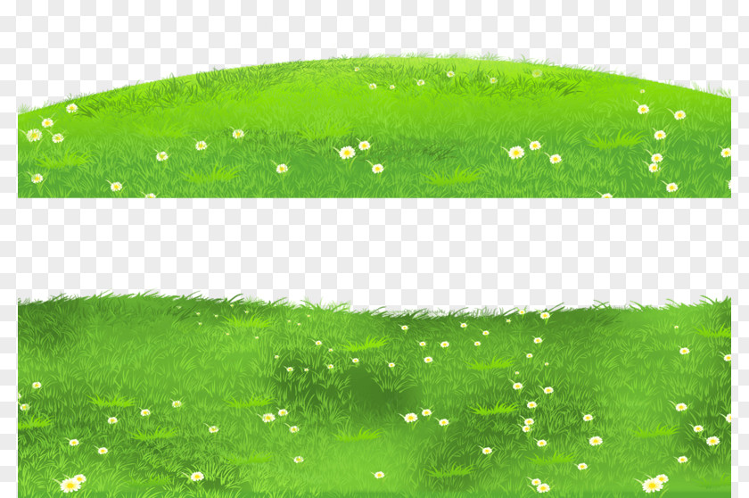 Green Meadow Clip Art Illustration Image Free Content PNG