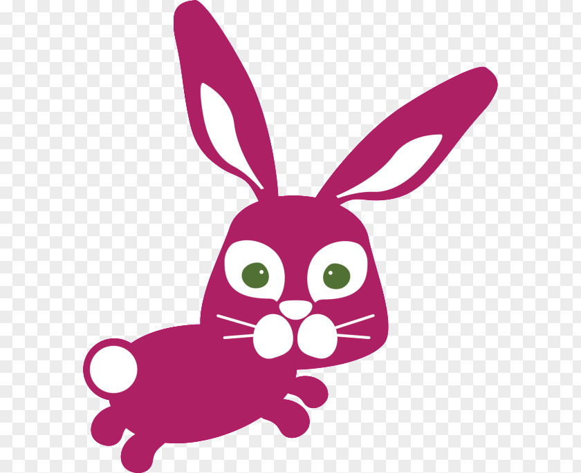 Rabbit Domestic Easter Bunny Hare Whiskers PNG