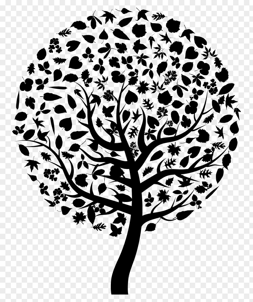 VECTOR FAMILY TREE FRAMES Tree Silhouette Clip Art PNG