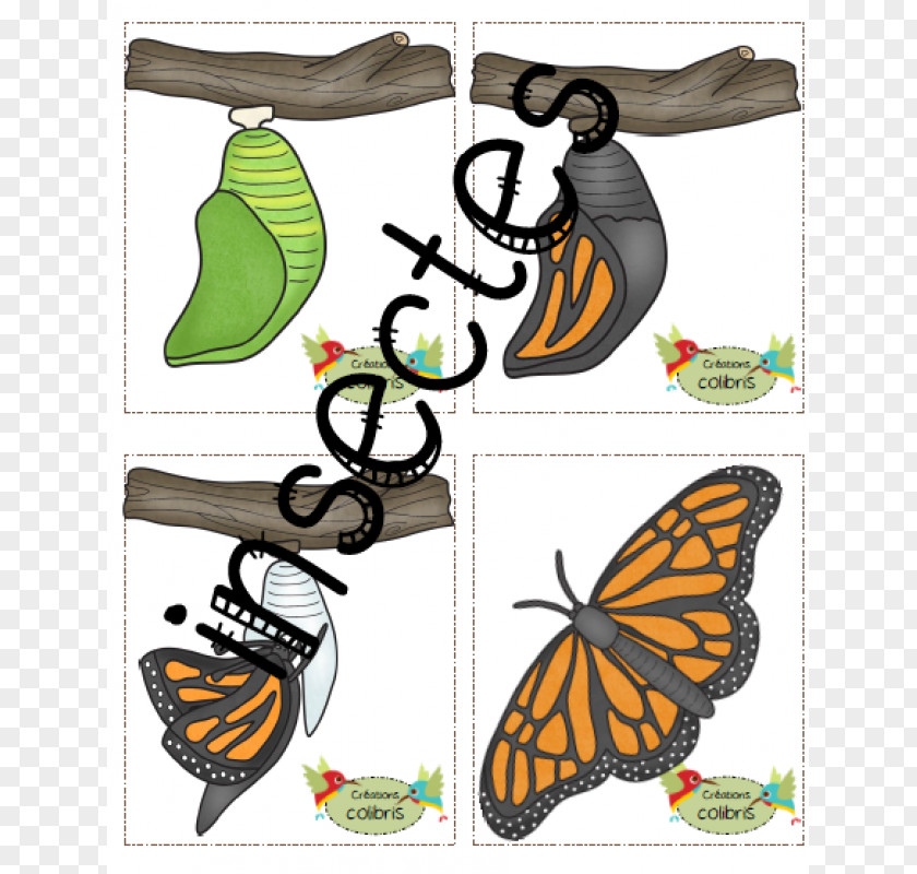 Butterfly Monarch Brush-footed Butterflies Clip Art Shoe PNG
