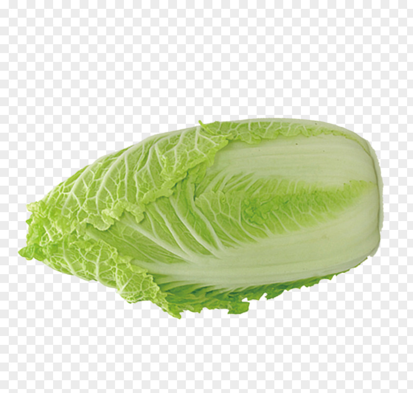 Chinese Cabbage Organic Food Vegetable Napa PNG