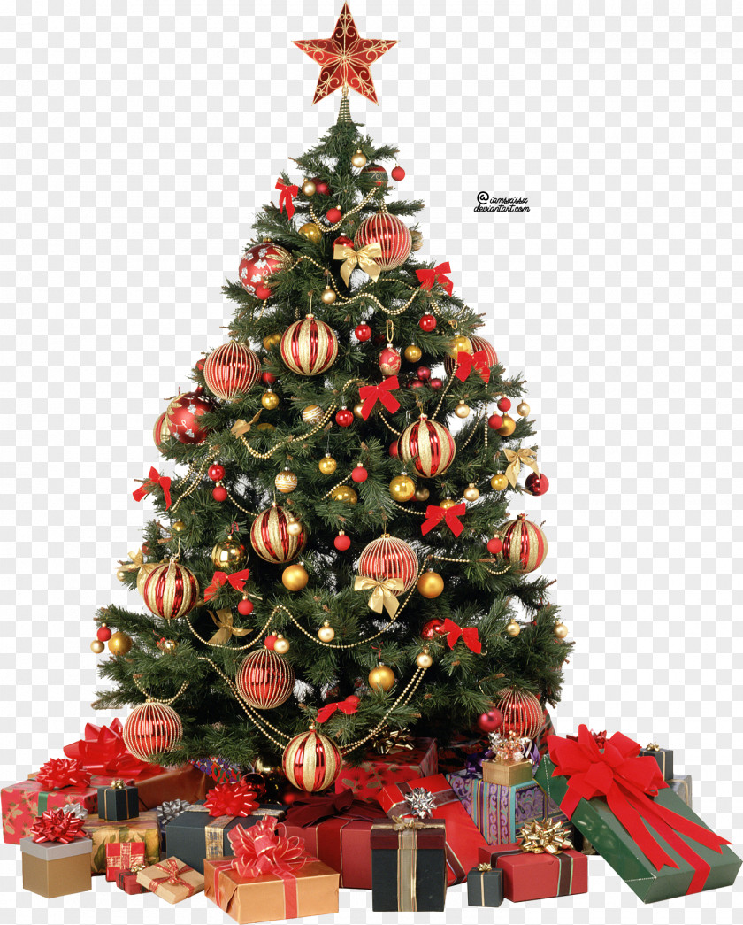 Christmas Tree Picture Clip Art PNG