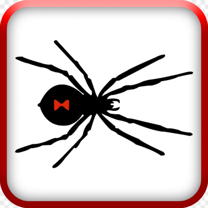 Spider Southern Black Widow Brown Clip Art PNG