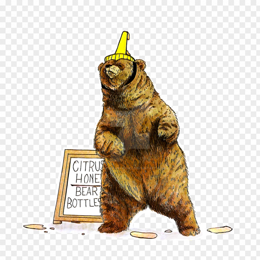 Bear Drawing Watercolor Painting Honey Food PNG