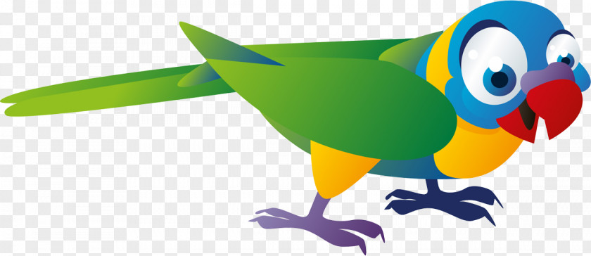 Cat Bird Budgerigar Pet Monk Parakeet PNG