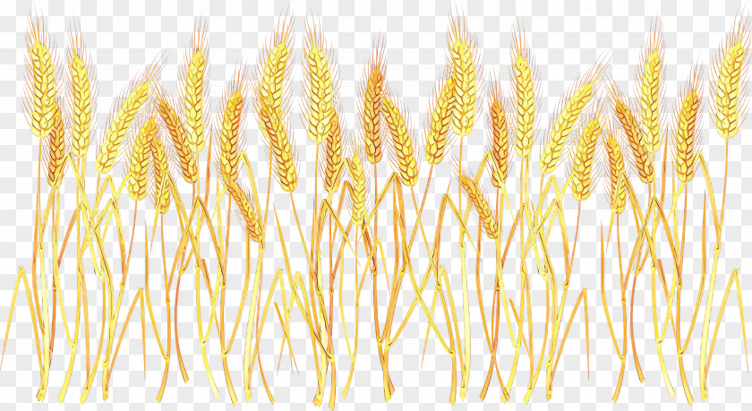 Clip Art Vector Graphics Wheat Openclipart PNG