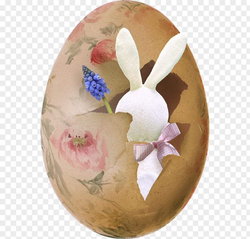 Easter Egg Rabbit Photography PNG
