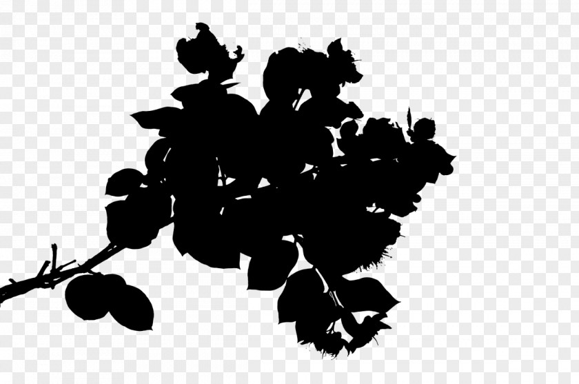 Grape Desktop Wallpaper Clip Art Silhouette Line PNG