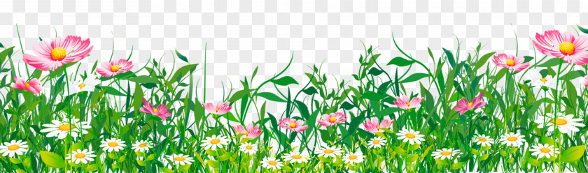 Grass With Flowers Clipart Flower Clip Art PNG