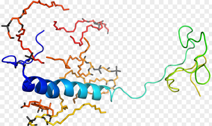 Agricultural Chin Organism Human Behavior Line Point Clip Art PNG