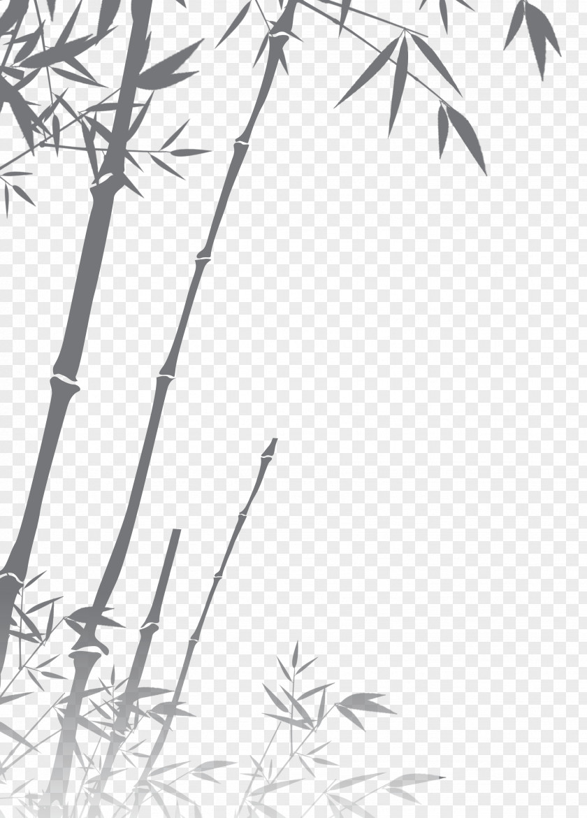 Bamboo Black And White Silhouette PNG