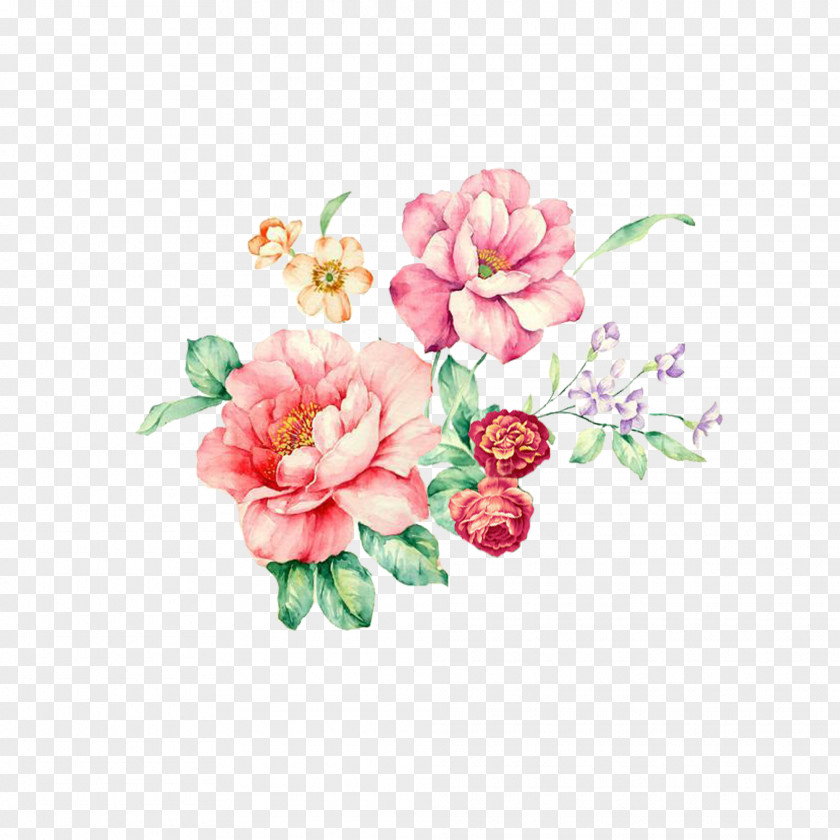 Cartoon Rose Rosa Chinensis Flower Plant Floral Design Pattern PNG