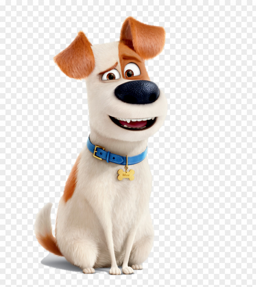 Dogs Max Snowball Drawing Birthday Animation PNG
