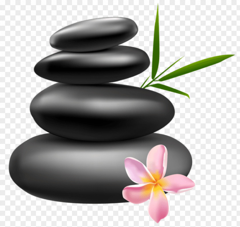 Zen Flower Pebble Frangipani Petal Plant PNG