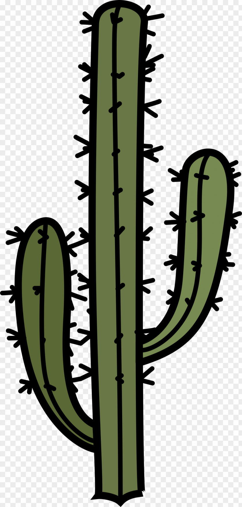 Cacti Cactaceae IPhone 7 Plus Arm 8 Clip Art PNG