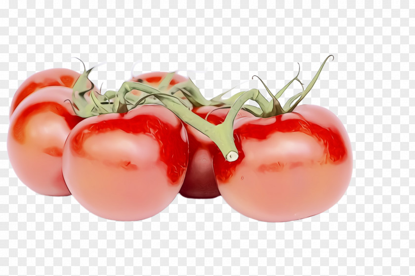 Cherry Tomatoes Plant Tomato PNG