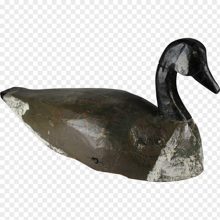 Goose Duck Water Bird Anatidae PNG