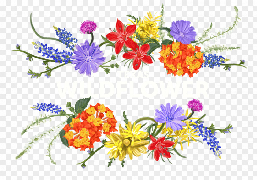 Wild Flower Wildflower Paper Photography Clip Art PNG