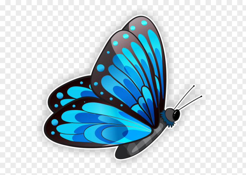 Adesivo Outline Clip Art Image Morpho Glasswing Butterfly PNG