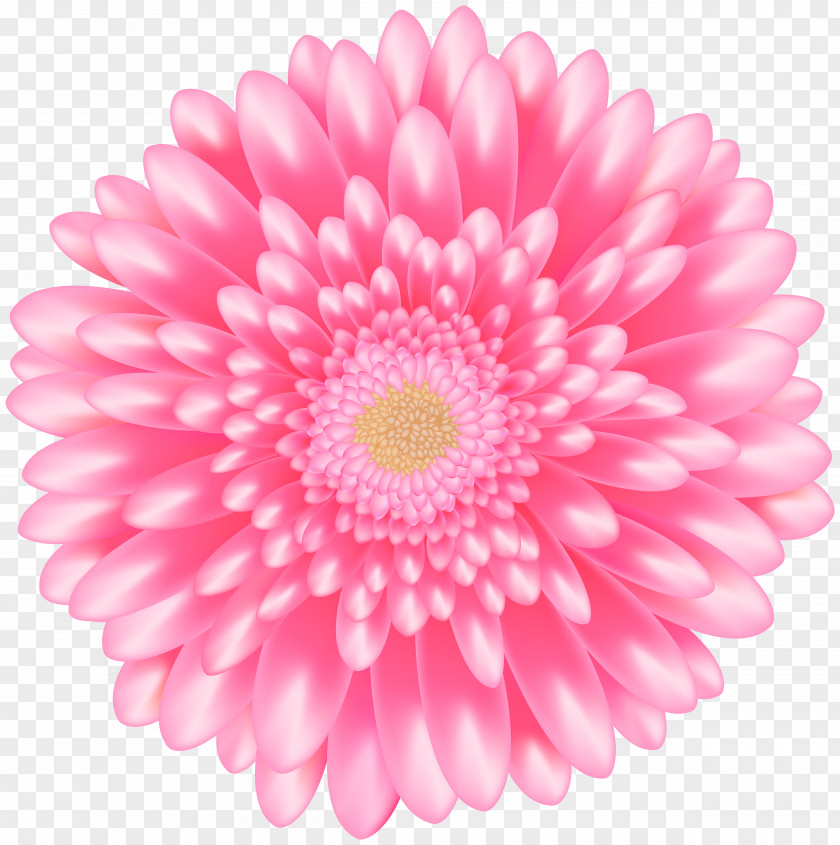 Flower Clip Art Pink Flowers Transparency PNG