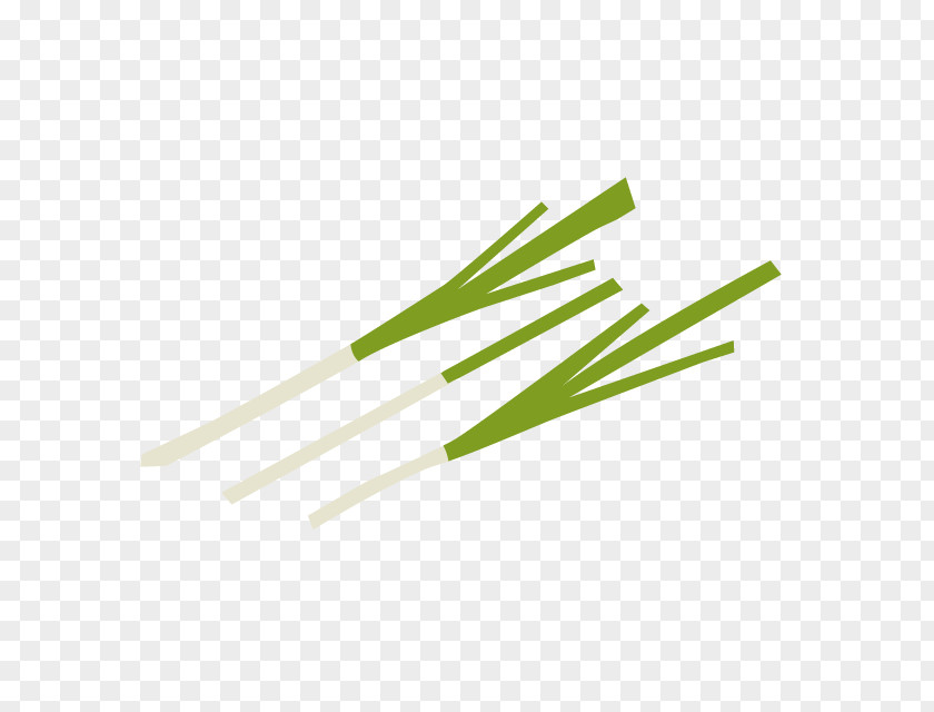Heart Green Onion Line PNG