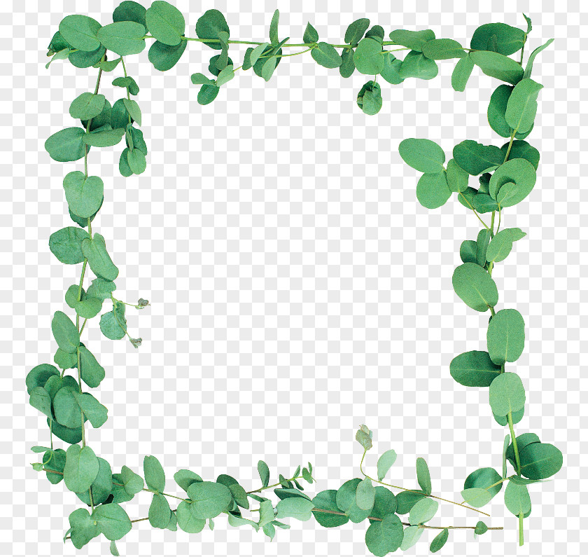 Ivy Heart Green Leaf Background PNG