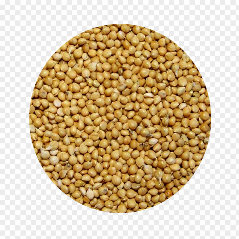 Proso Millet Grain Seed Cereal PNG
