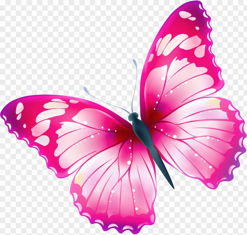 Spring Flowers Butterfly Free Greta Oto Clip Art PNG