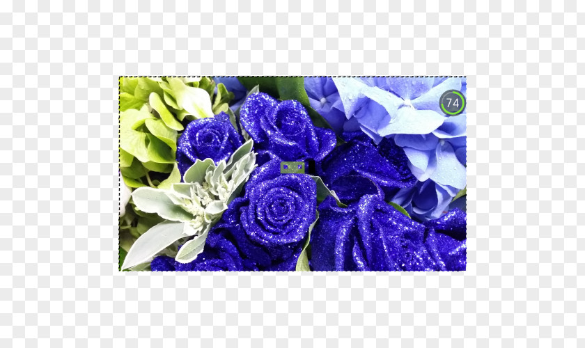 Flower Blue Rose Garden Roses Floristry PNG