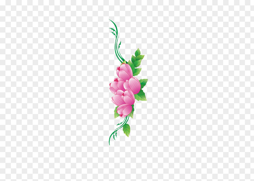 Flower Cut Flowers Design Petal PNG