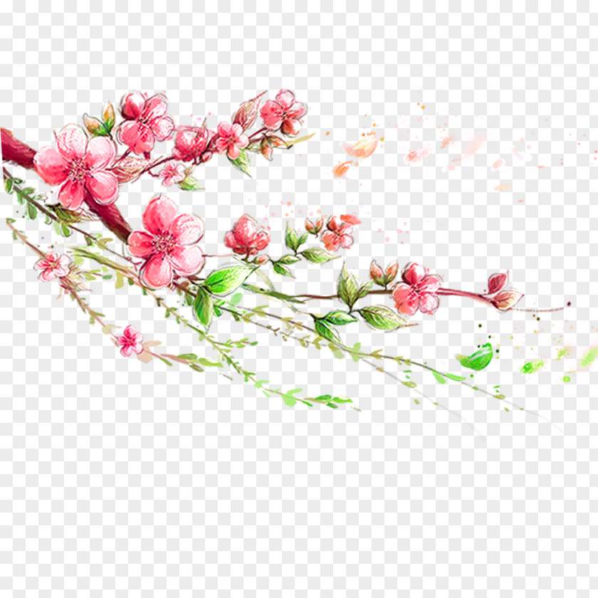 Pink Peach Blossom Love Sonnets Of Ghalib 1080p High-definition Television Wallpaper PNG