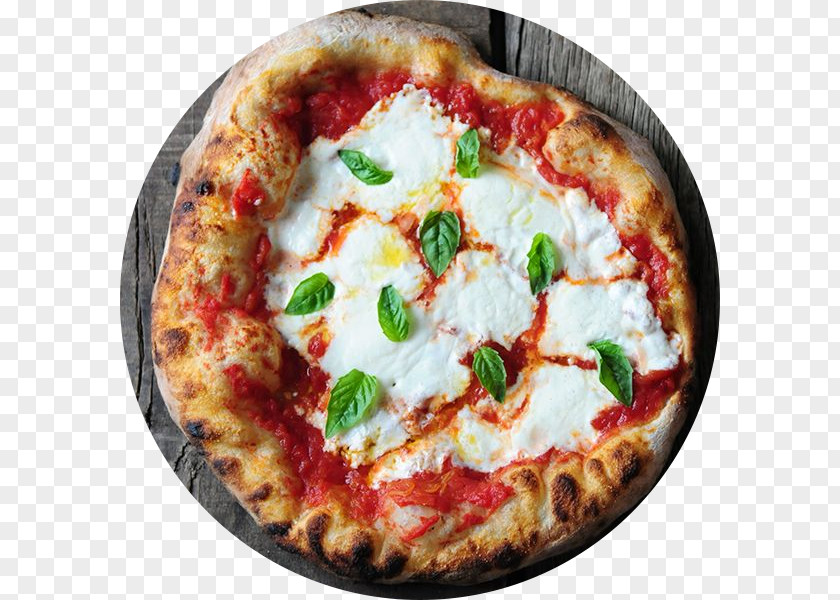 Pizza Margherita Neapolitan Italian Cuisine PNG