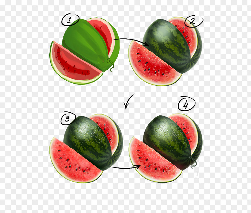 Watermelon Painting Sketch PNG