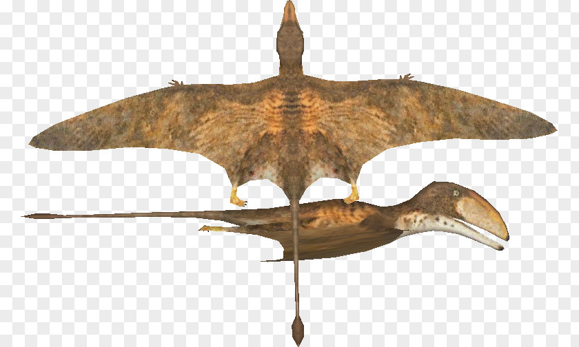 Dinosaur Peteinosaurus Postosuchus Stegosaurus Tyrannosaurus Plateosaurus PNG