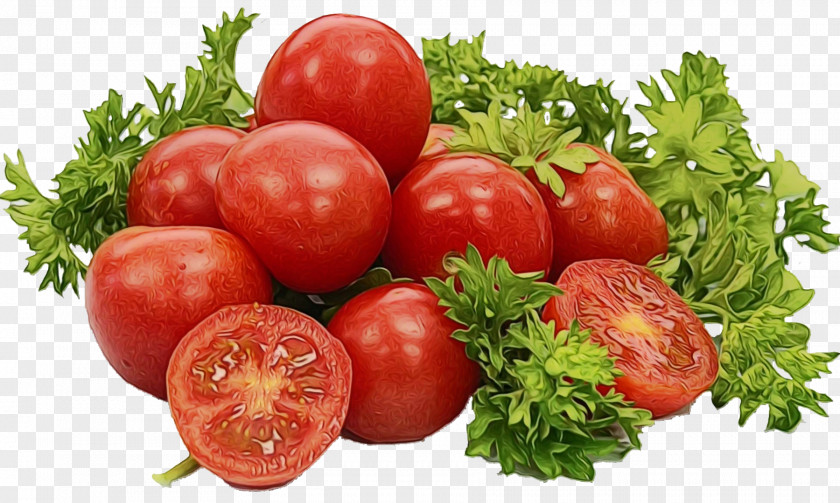 Fruit Plant Tomato PNG