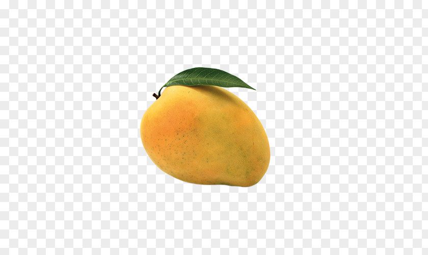 Mango Orange Food Citrus Juice Vesicles PNG
