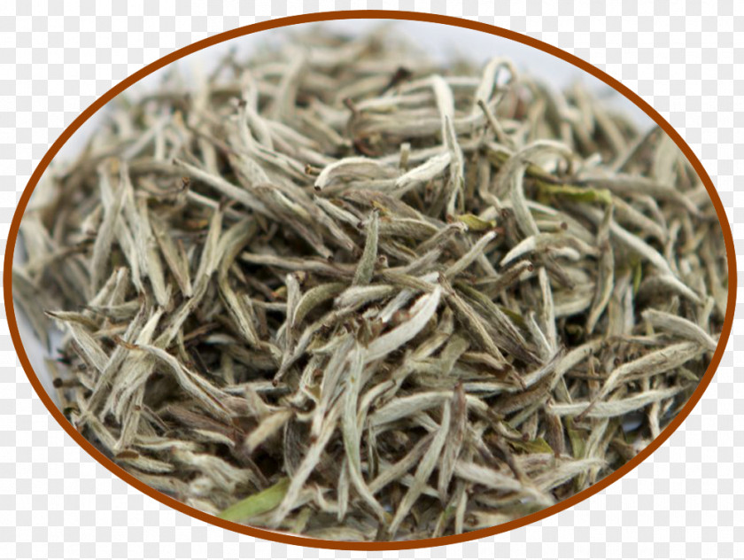 Tea Golden Monkey White Baihao Yinzhen Nilgiri PNG